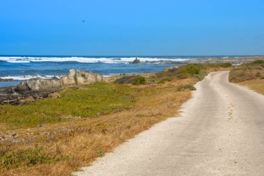 Cape Town ve Güney Afrika 'daki Robben Adası' ndan Masa