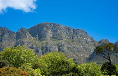Güney Afrika Cape Town 'daki ünlü Masa Dağı manzarası 