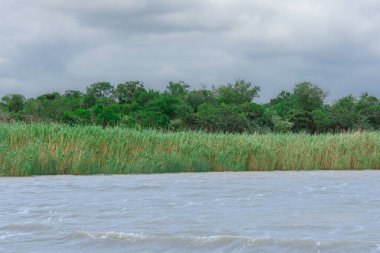 Güney Afrika 'daki Afrika savanasının ortasındaki büyük nehir. 