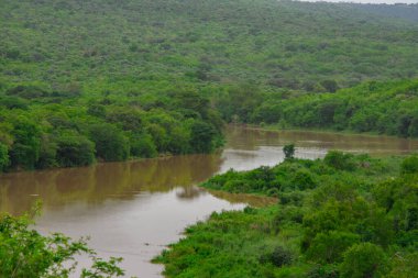 Güney Afrika 'daki Kruger Park' ın kalbinde geniş bir nehir var.