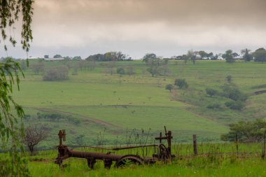 Güney Afrika 'nın ünlü savanasının çok güzel manzarası.  