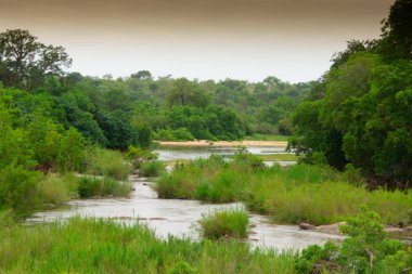 Güney Afrika 'da savandan akan küçük güzel bir nehir.   