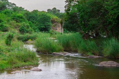 Güney Afrika 'da savandan akan küçük kuru bir nehir.