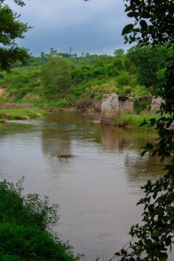 Güney Afrika 'da savandan akan küçük kuru bir nehir.