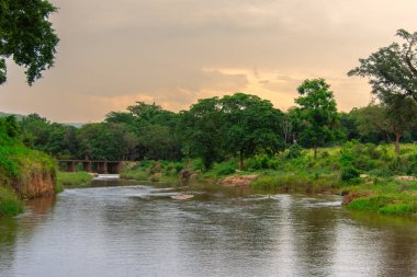 Güney Afrika 'da savandan akan küçük kuru bir nehir.