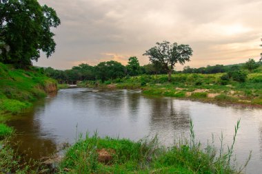 Güney Afrika 'da savandan akan küçük kuru bir nehir.