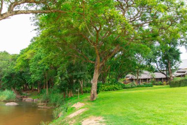 Güney Afrika 'da savandan akan küçük kuru bir nehir.
