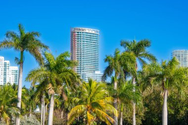 Miami-Dade, Florida 'daki Aventura. modern mimari binalar ve palmiye ağaçları 