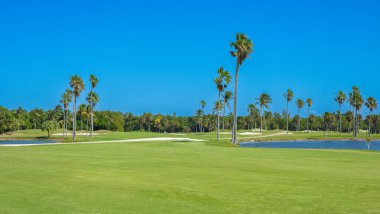 Amerika Birleşik Devletleri 'nde Florida' da güzel bir golf sahası.
