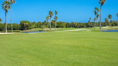 Amerika Birleşik Devletleri 'nde Florida' da güzel bir golf sahası.