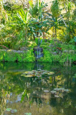 Çayırın ortasında yeşil çimenli, tropikal ağaçlar ve göl olan egzotik bir park. 