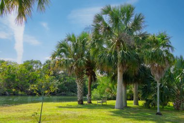 Parkın güzel manzarası