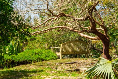 Amerika Birleşik Devletleri 'nde Florida' da güzel bir golf sahası.