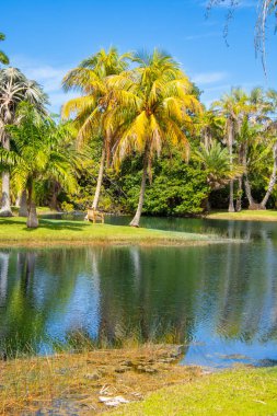 Miami Florida Parkı 'ndaki gölet