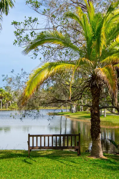 Çayırın ortasında yeşil çimenli, palmiye ağaçları ve gölü olan güzel bir tropikal park. 