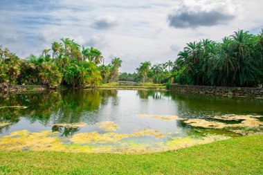 Gölet, yeşil çimen, mavi gökyüzü ve bulutlar.