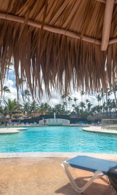 Palmiye ağaçları ile güzel Yüzme Havuzu