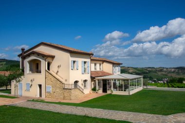 Chiara Condello üzüm bağı manzarası