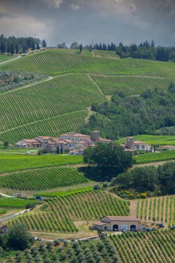 İtalya 'da Bologna yakınlarında Emilia-Romagna' da güzel bir üzüm bağının manzarası