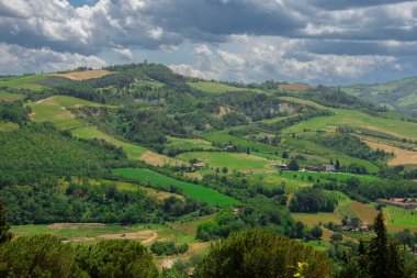 İtalya 'da Bologna yakınlarında Emilia-Romagna' da güzel bir üzüm bağının manzarası