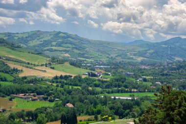 İtalya 'da Bologna yakınlarında Emilia-Romagna' da güzel bir üzüm bağının manzarası