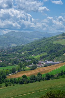 İtalya 'da Bologna yakınlarında Emilia-Romagna' da güzel bir üzüm bağının manzarası