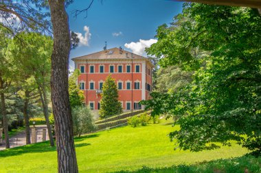 İtalya 'nın Emilia Romagna bölgesinde güzel bir üzüm bağının manzarası