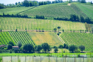 Emilia-Romagna bölgesinde bir İtalyan üzüm bağında muhteşem bir villa.