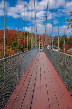 Kanada kırsalında sonbaharda küçük bir nehrin üzerinde köprü