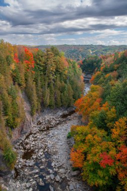 Renkli ağaçlar ve dağlarda nehirler olan güzel sonbahar manzarası
