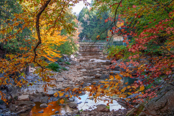 Magnificent autumn landscape in the Canadian countryside in the province of Quebec