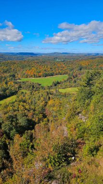 Güzel sonbahar yatay, renkli orman