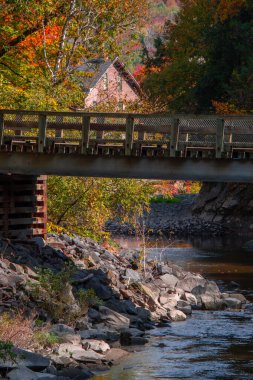 Ağaçlar ve ormanlarla dolu güzel sonbahar manzarası
