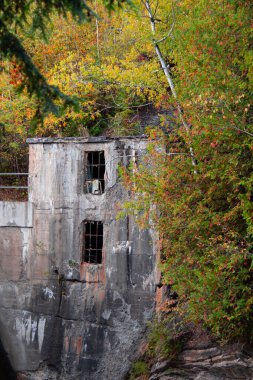 Ormandaki eski bina.