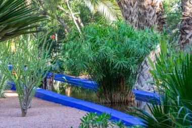 Jardin Majorelle tropikal bitkiler ve ağaçlarla, Marakeş