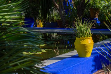 pond with water in Jardin Majorelle. tropical plants and trees growing in the garden  clipart