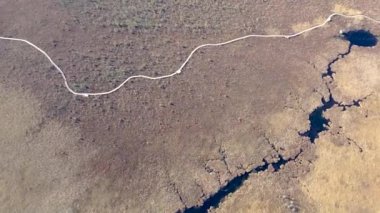 Kanada 'nın Quebec kenti Magog yakınlarındaki küçük bir bataklığın havadan görünüşü