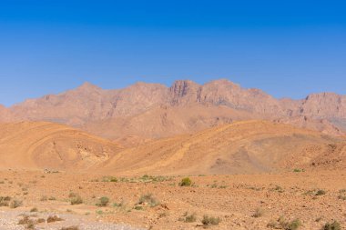 Fas 'taki kayalık Anti-Atlas Dağları