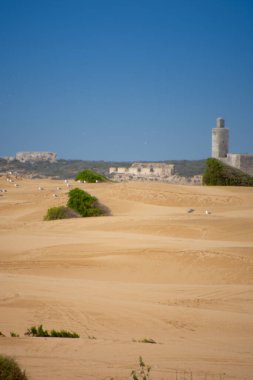 Fas 'ın Essaouira şehrinde kumlu kum tepeleri ve etnik mimarisi var. 