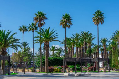 Fas 'taki eski Safi kasabasının manzarası