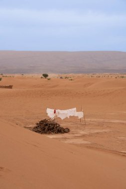 Fas 'taki Sahra Çölü' nde lüks bir ordugâh, Chegaga Kumulları.