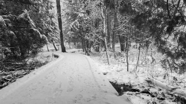 Quebec 'teki Kanada kırsalında arka planda bir kilise olan bir bataklık manzarası.