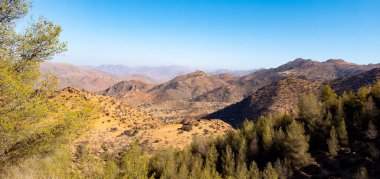 Fas 'taki Agadir yakınlarındaki Cennet Vadisi