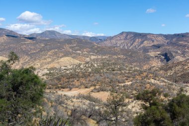 Fas 'taki Agadir yakınlarındaki Cennet Vadisi