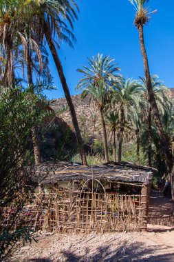 Fas 'taki Agadir şehrinin yakınındaki Cennet Vadisi