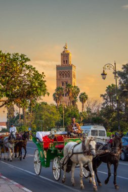 Essaouira 'da bir şehirde at arabası 