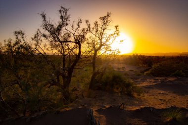 Fas 'ta Zagora yakınlarındaki Wadi Draa Vadisi
