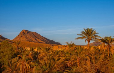 Fas 'ta Zagora yakınlarındaki Wadi Draa Vadisi