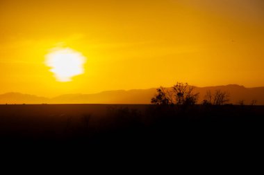 Fas 'ta Zagora yakınlarındaki Wadi Draa Vadisi