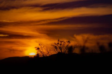 Fas 'ta Zagora yakınlarındaki Wadi Draa Vadisi